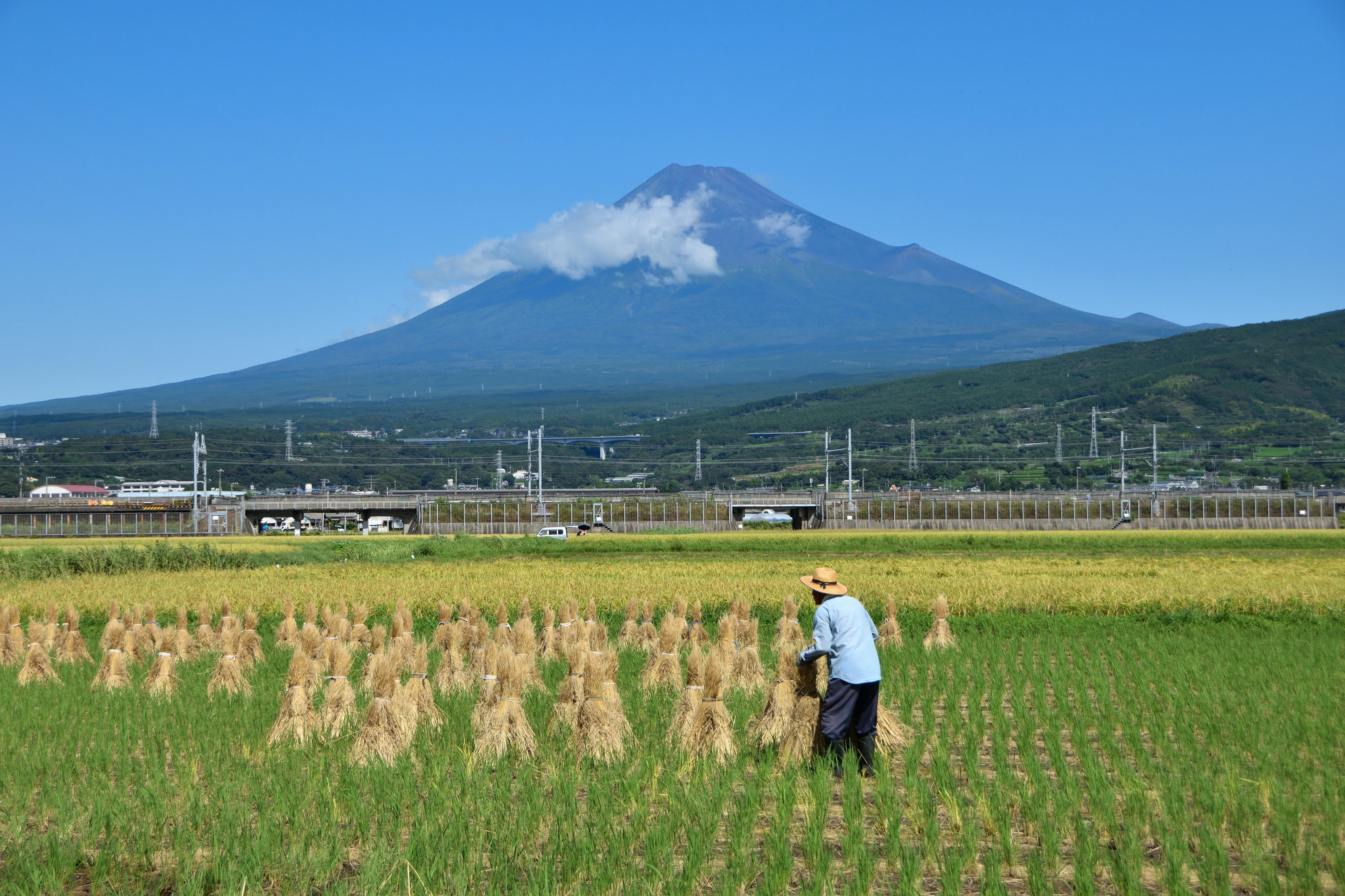富士山と農地の風景