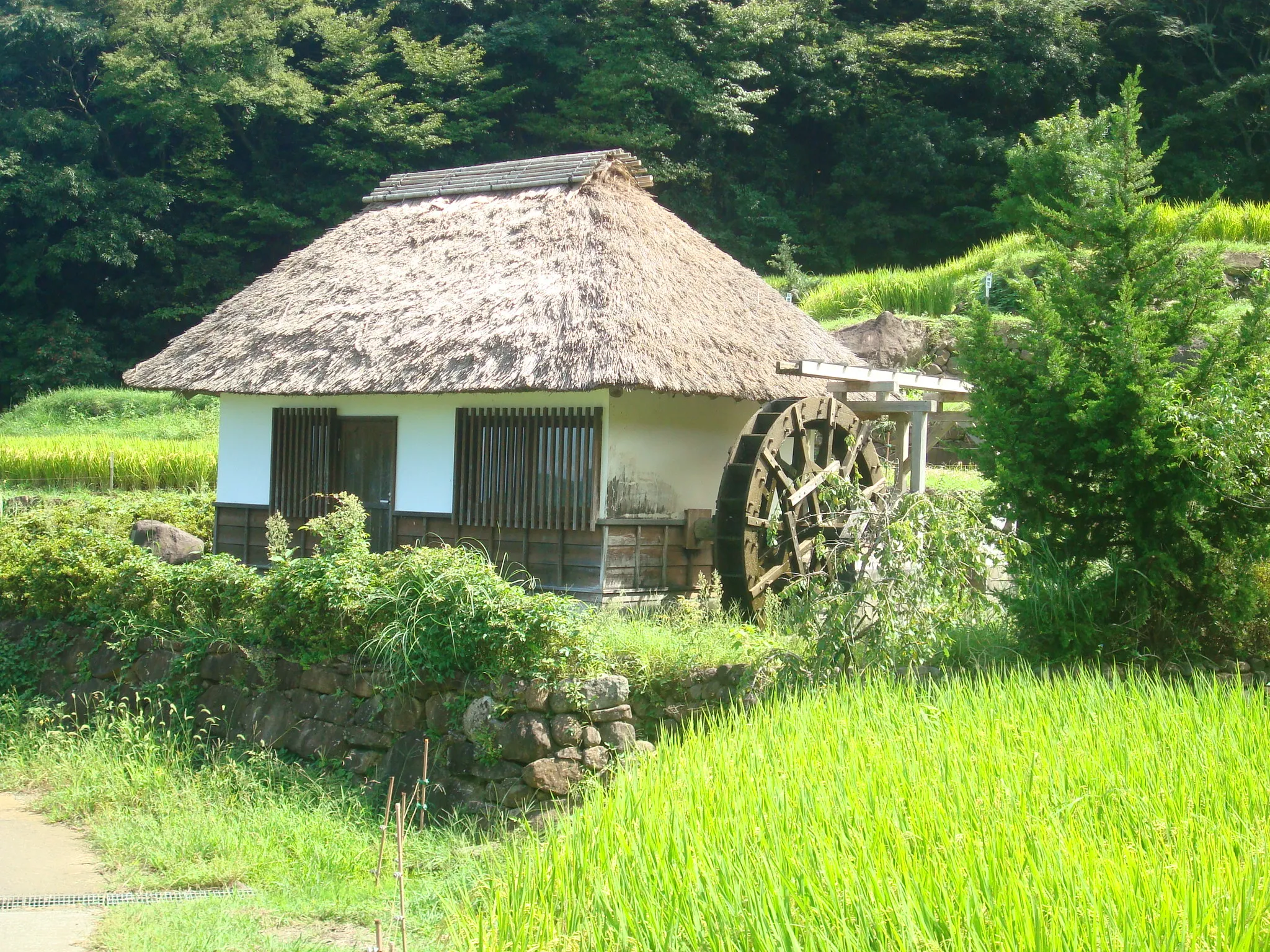 農村の風景